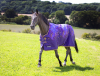 Shires Tempest Original 100g Turnout (RRP £69.99)